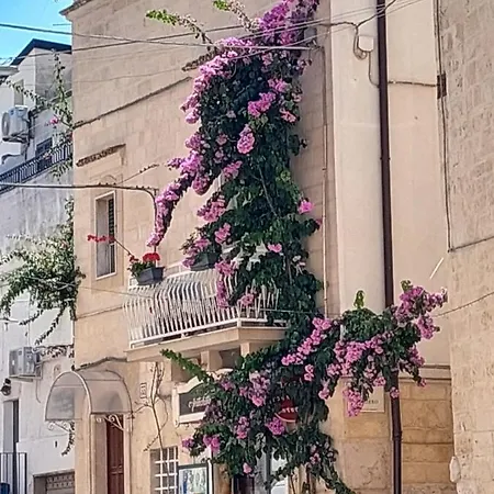 Bed & Breakfast Claustro Mirti